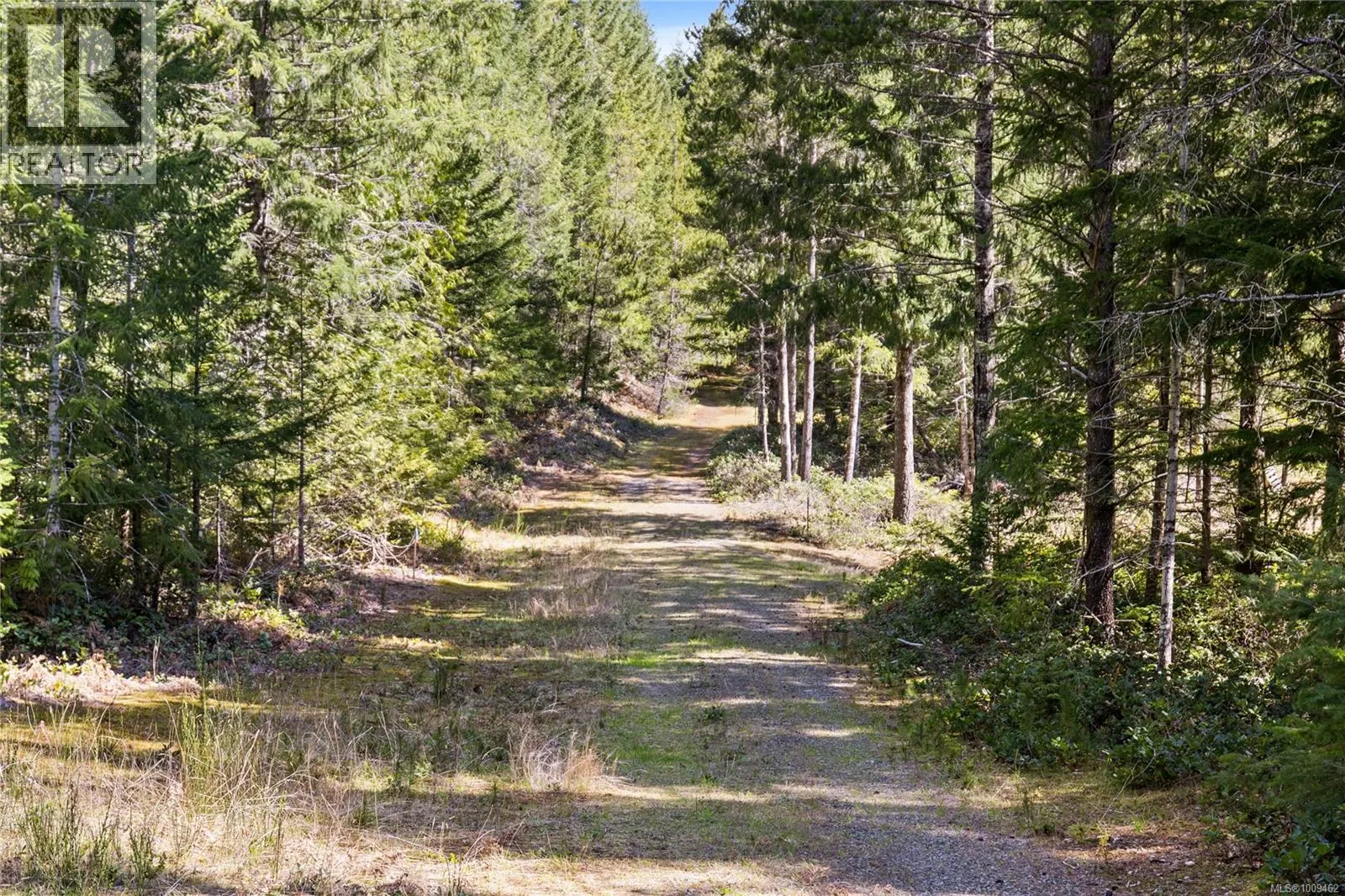 Lot 1 Horne Lake Rd
