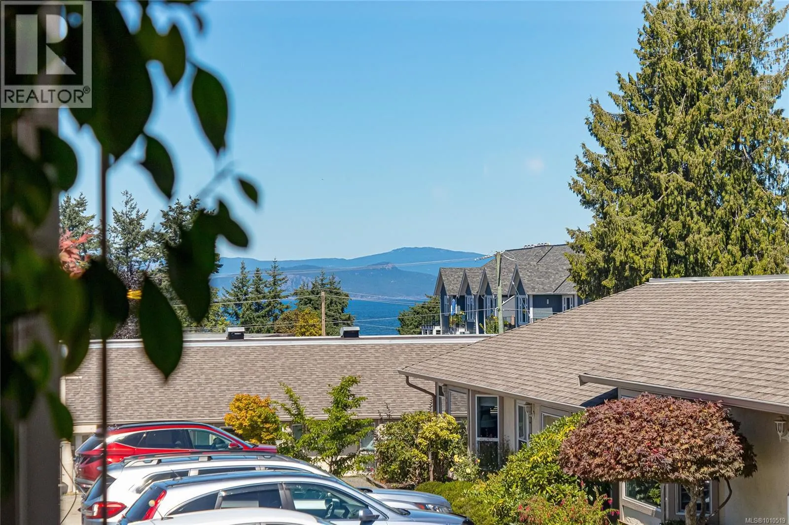 14 100 Abbey Lane