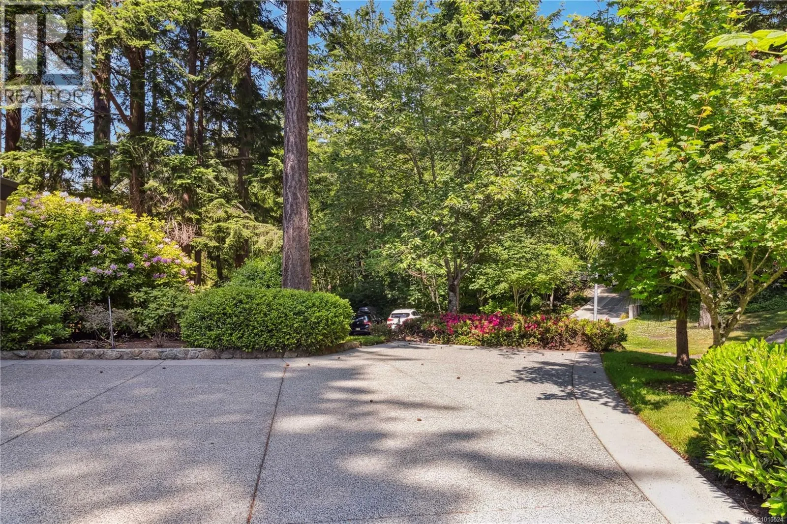 1 981 Fir Tree Glen