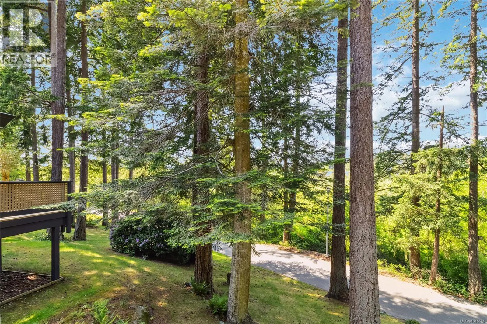 1 981 Fir Tree Glen