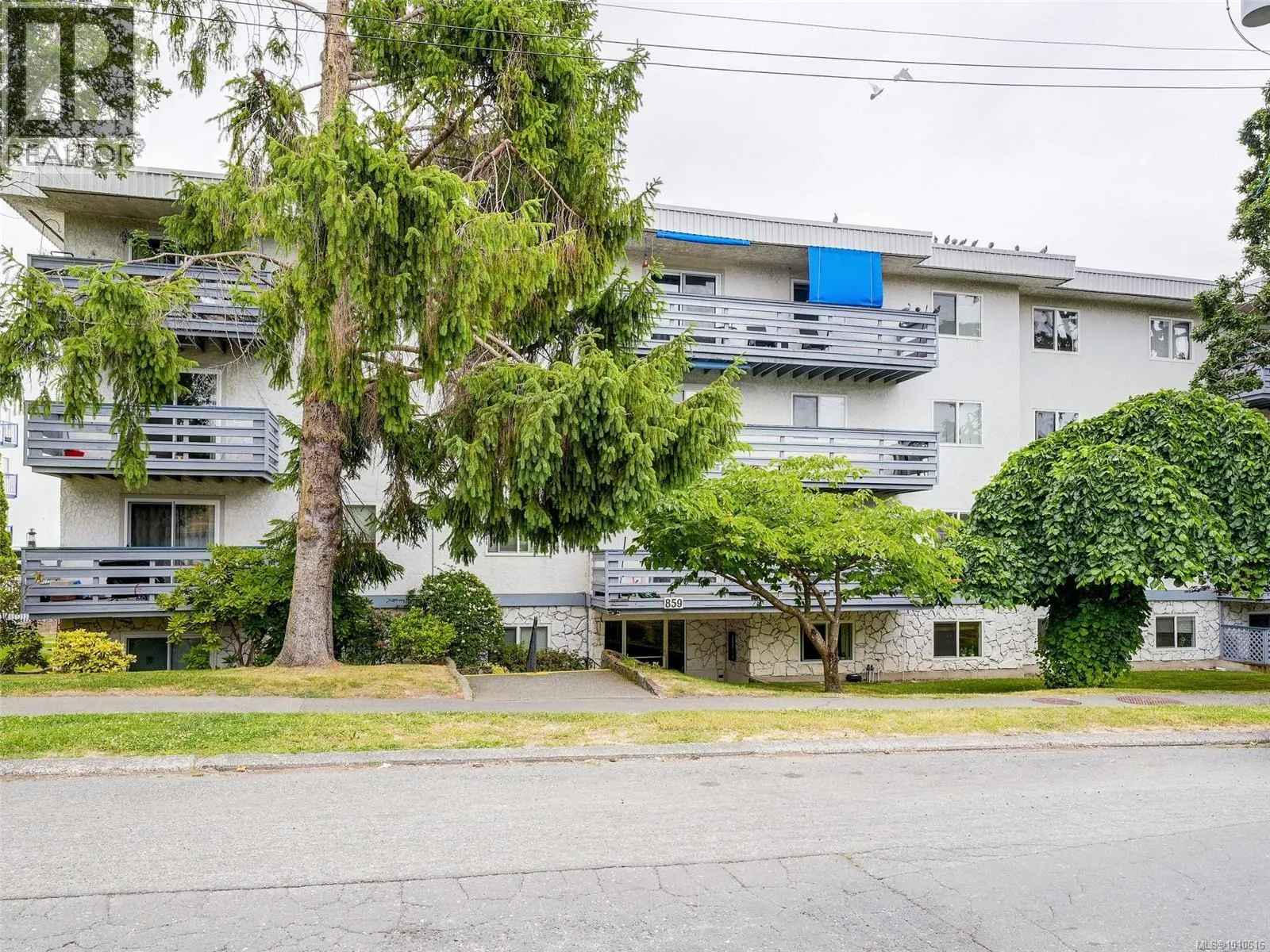 302 859 Carrie St