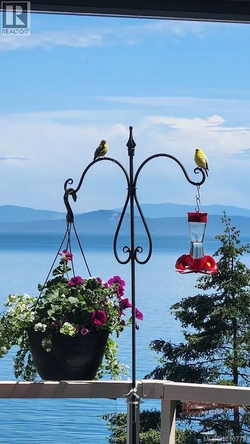 7 4771 Cordova Bay Rd
