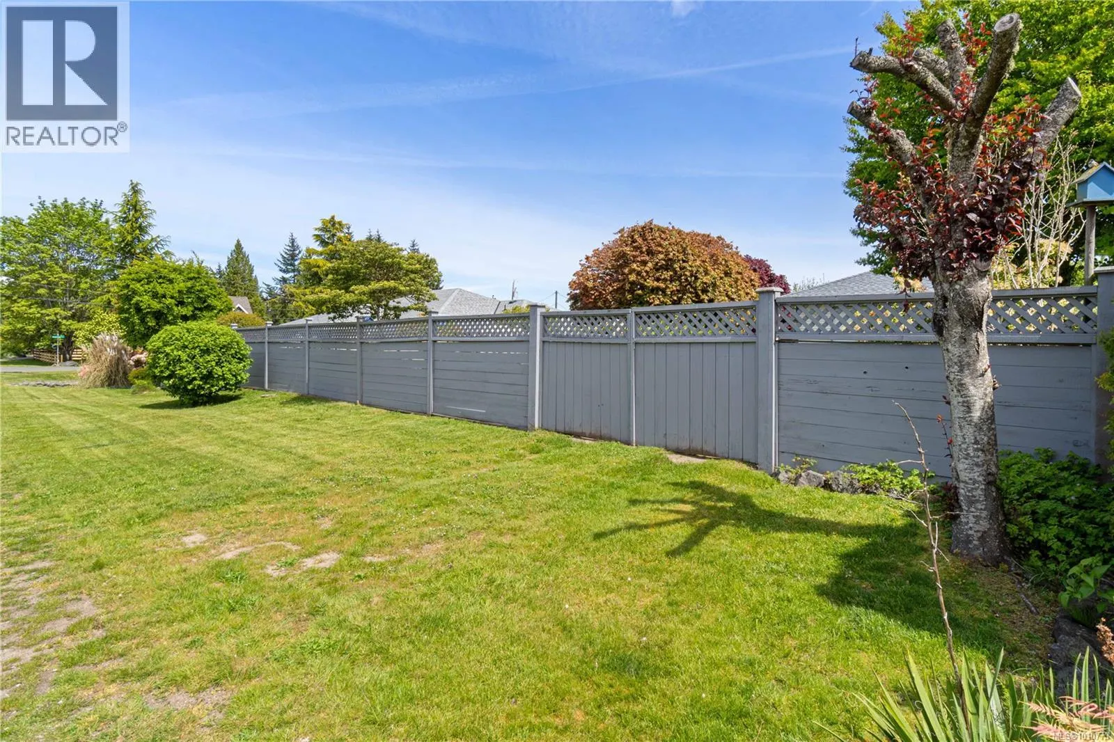 785 Nicolls Dr