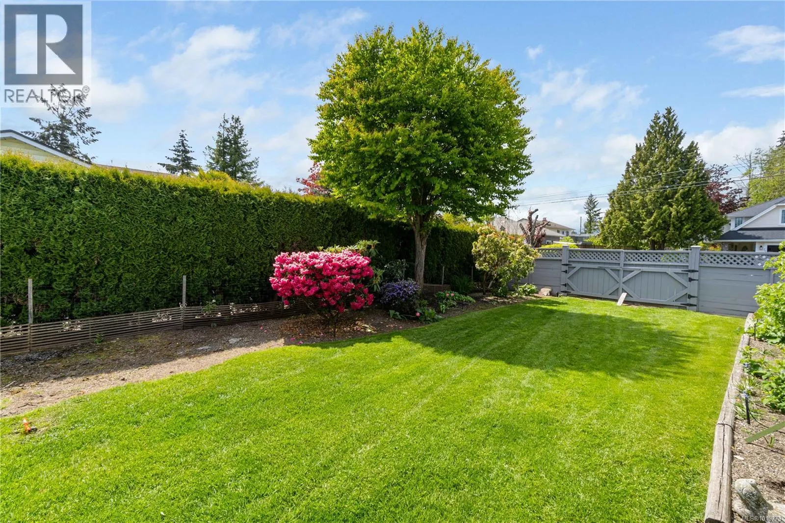 785 Nicolls Dr