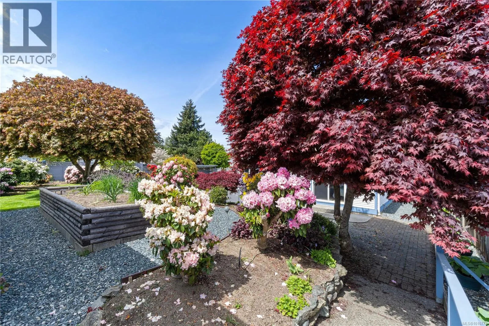 785 Nicolls Dr