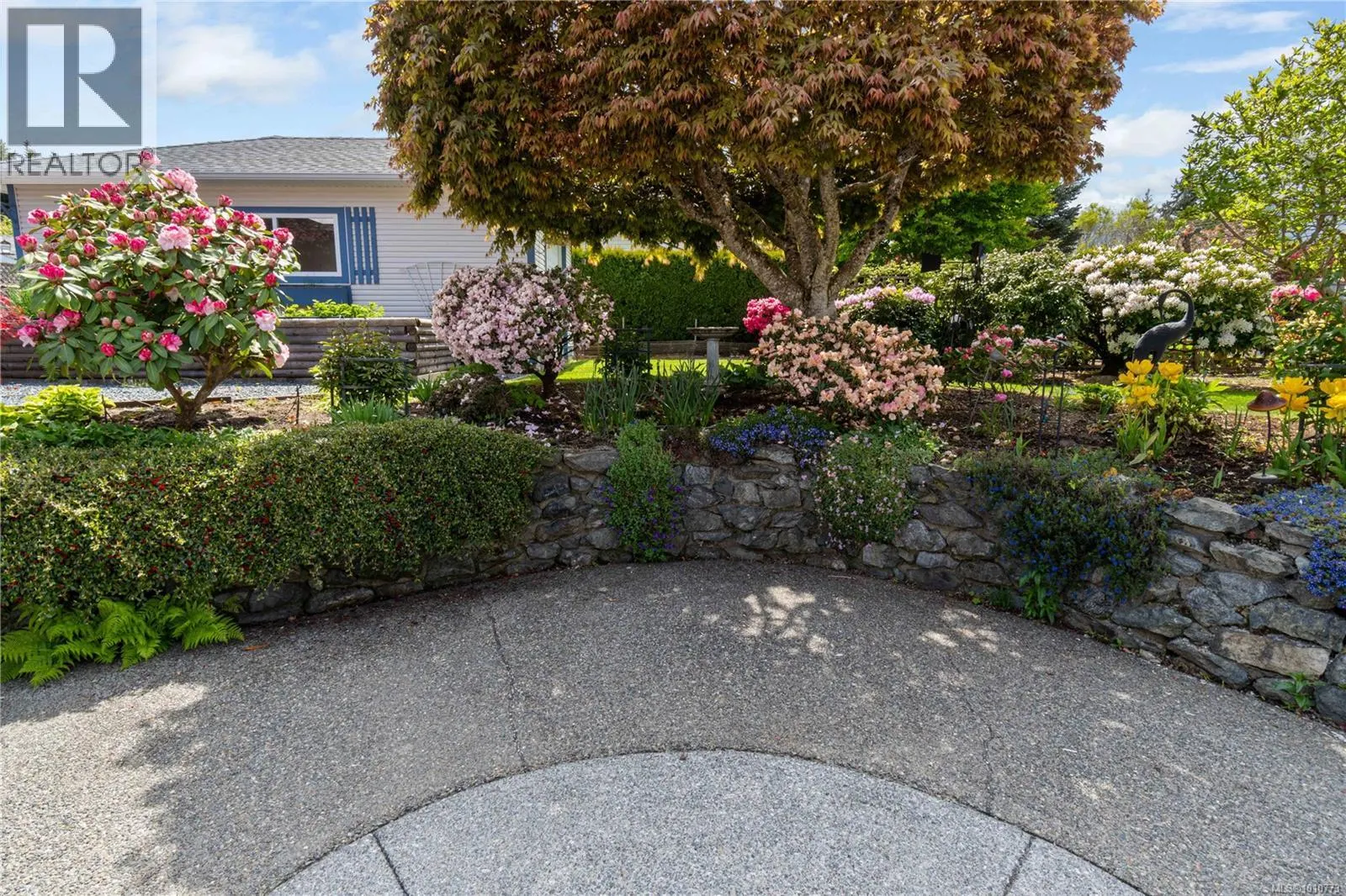 785 Nicolls Dr