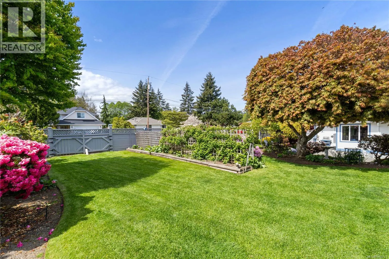785 Nicolls Dr