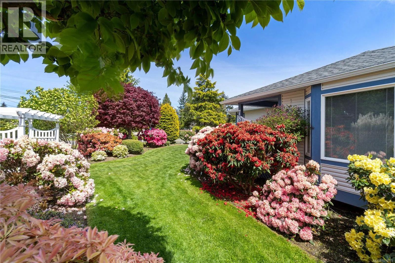 785 Nicolls Dr
