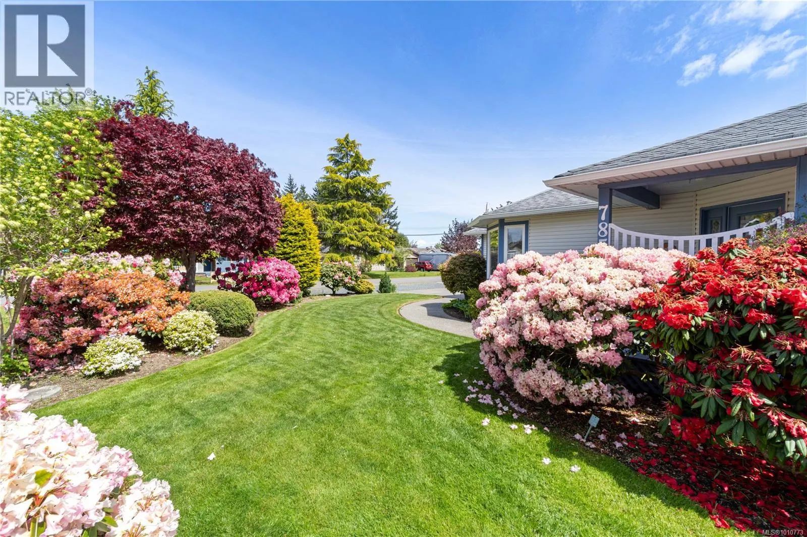 785 Nicolls Dr