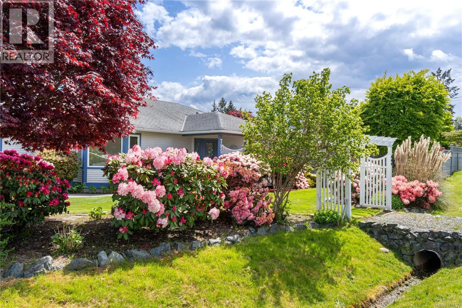 785 Nicolls Dr