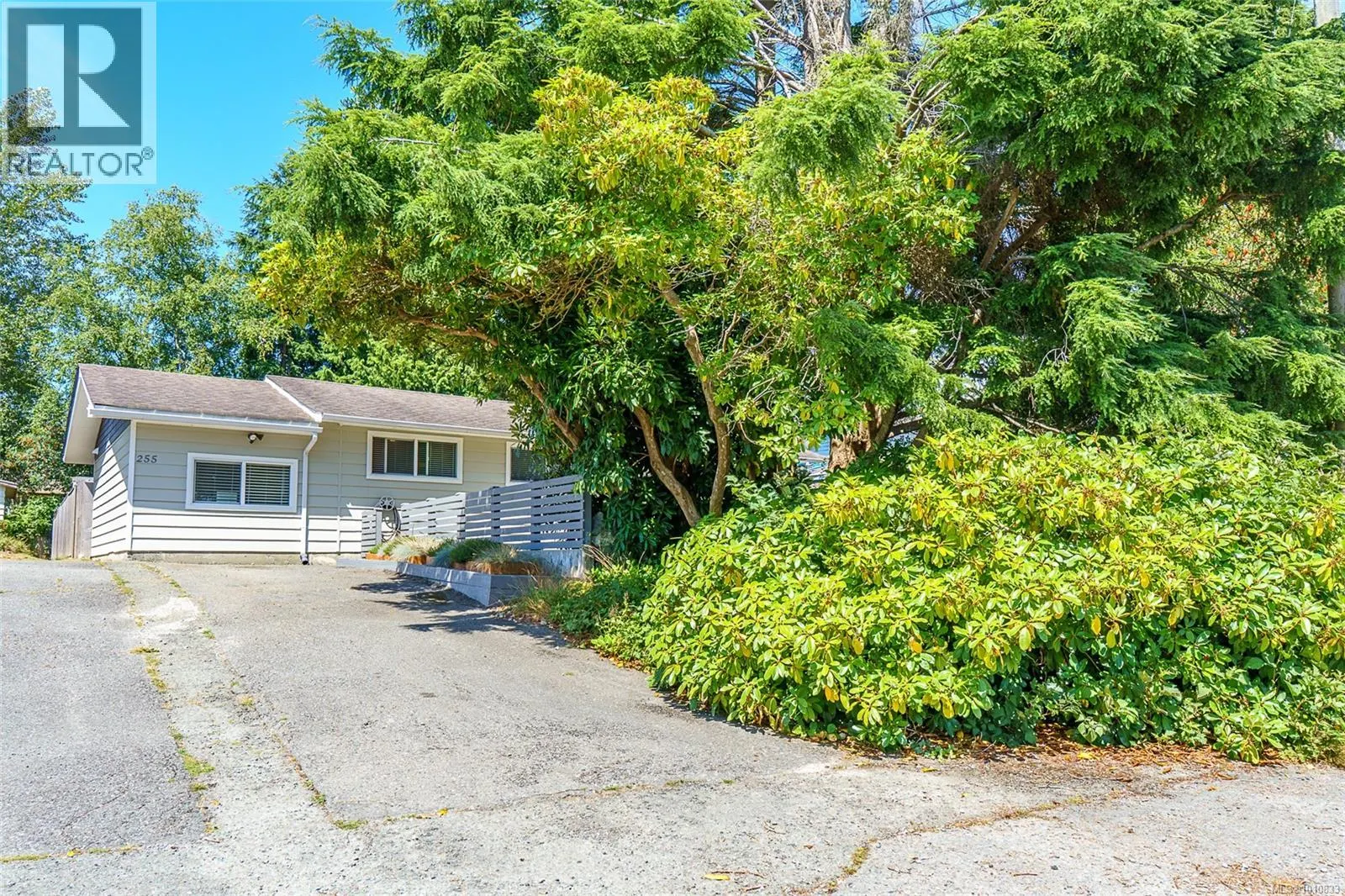 255 Otter St