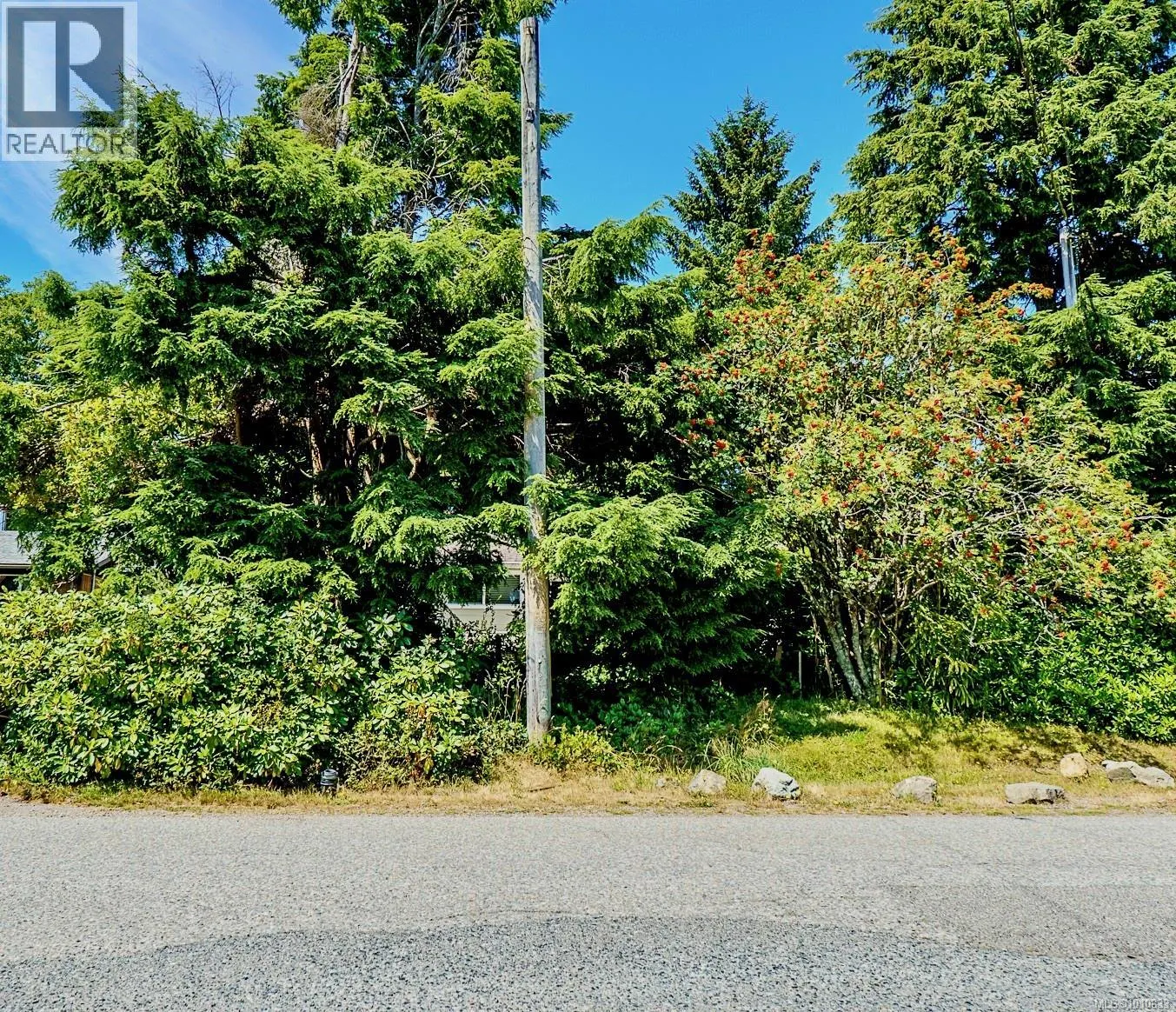 255 Otter St
