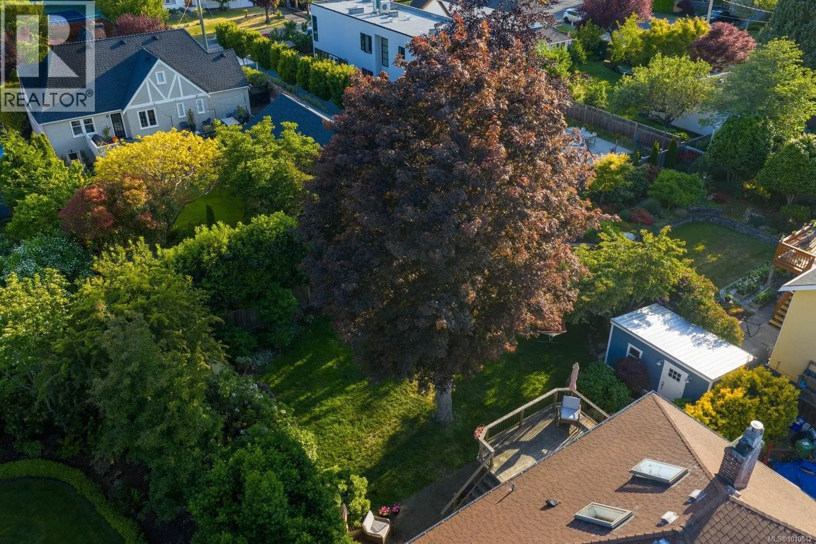 2535 Dalhousie St