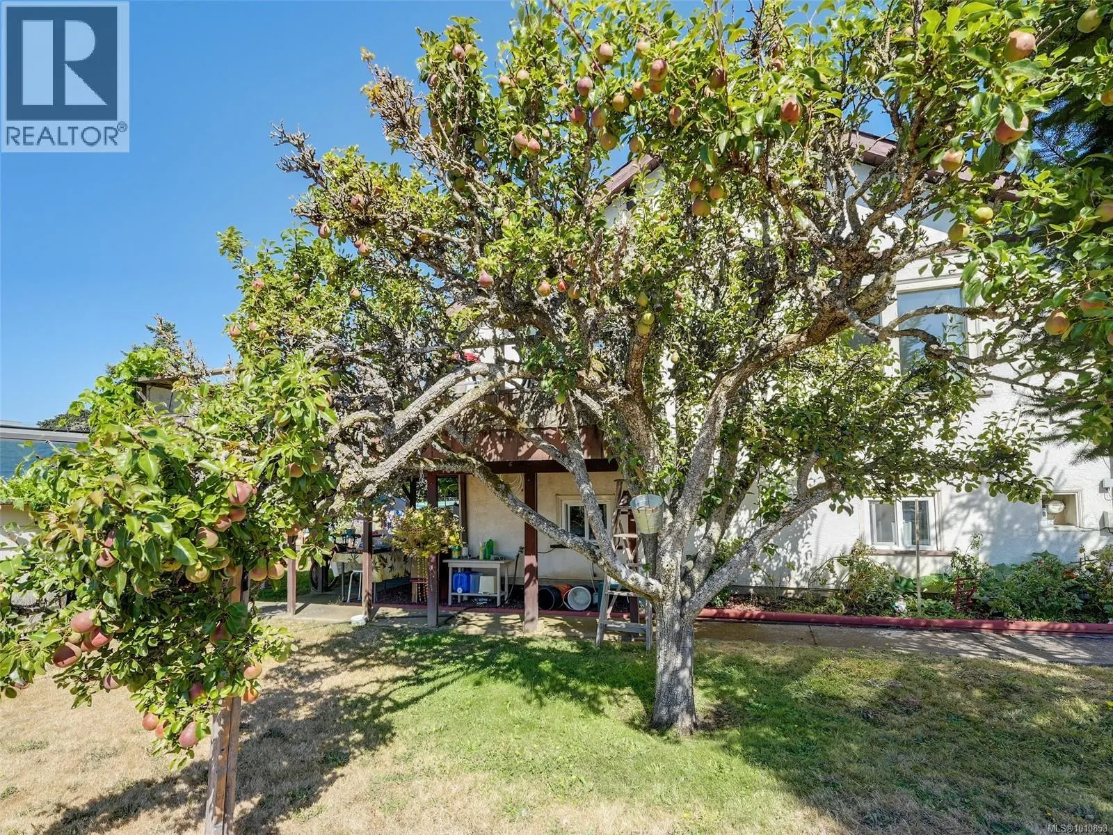 8 Camden Ave