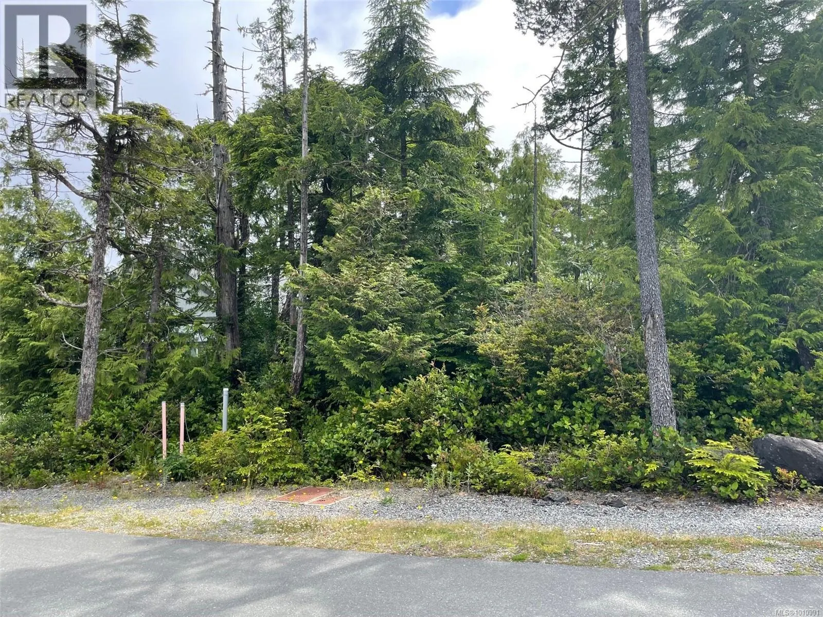 LOT 40 CEDAR GROVE Pl