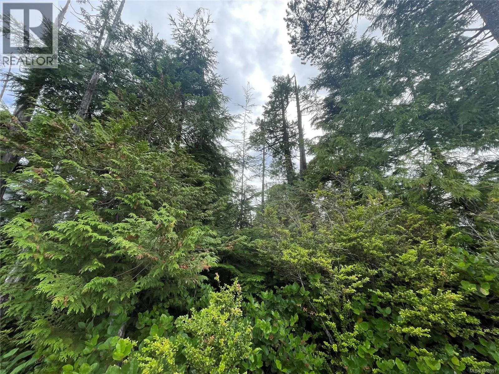LOT 40 CEDAR GROVE Pl