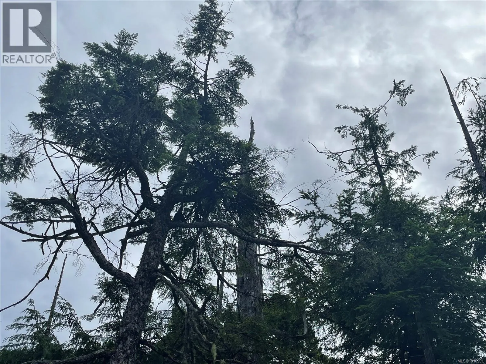 LOT 40 CEDAR GROVE Pl