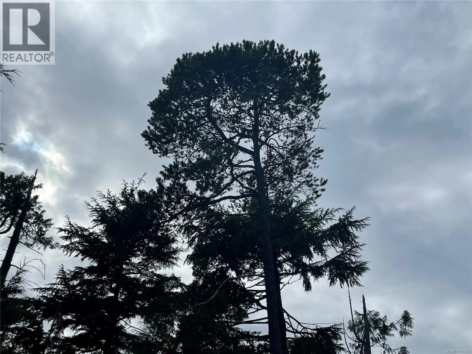 LOT 40 CEDAR GROVE Pl