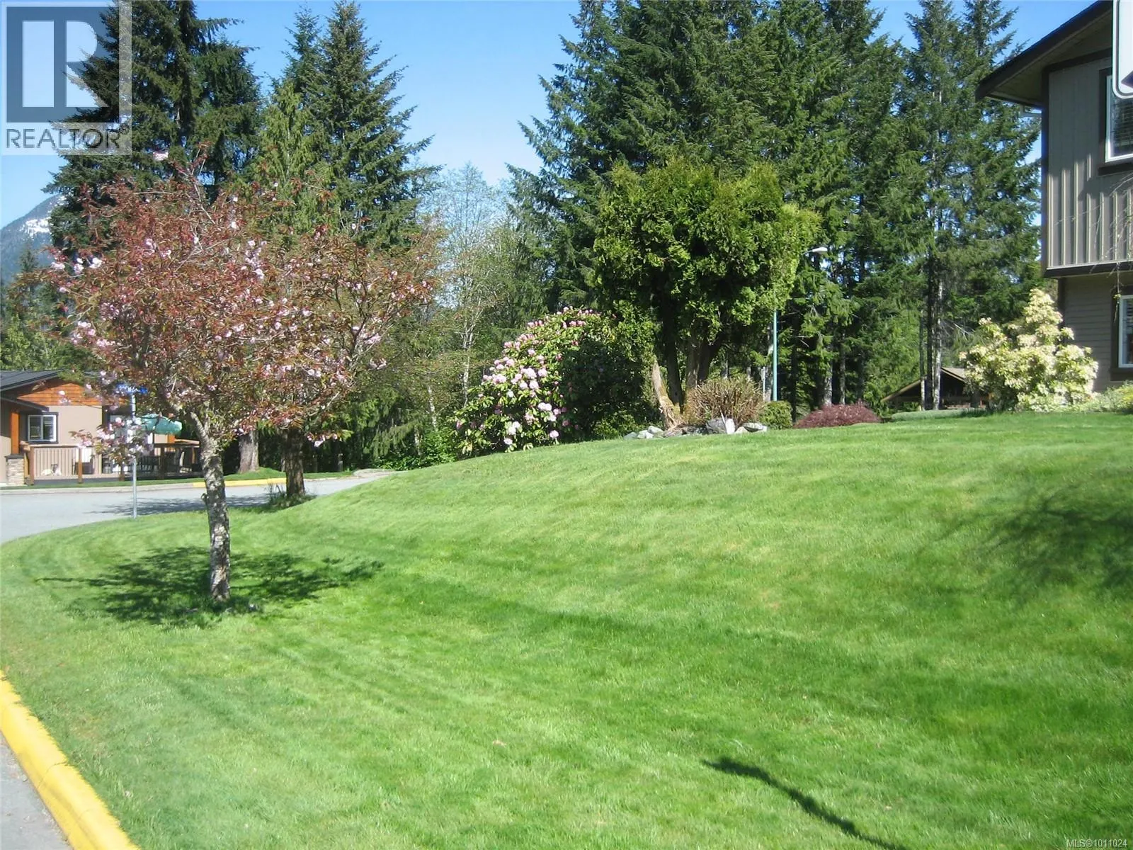 533 Dogwood Dr