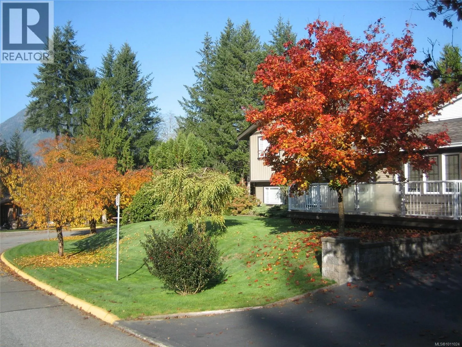 533 Dogwood Dr
