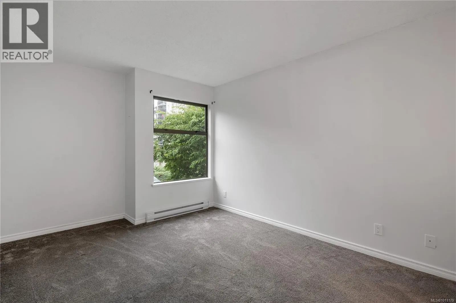 201 585 Dogwood St S
