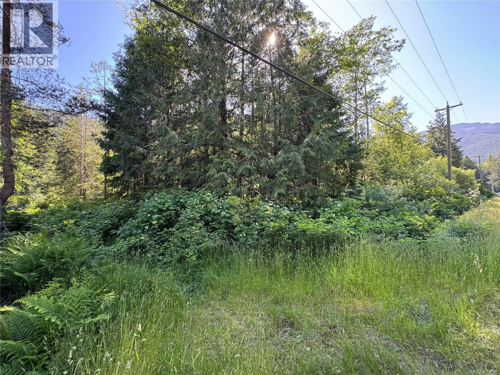 779 Sayward Rd
