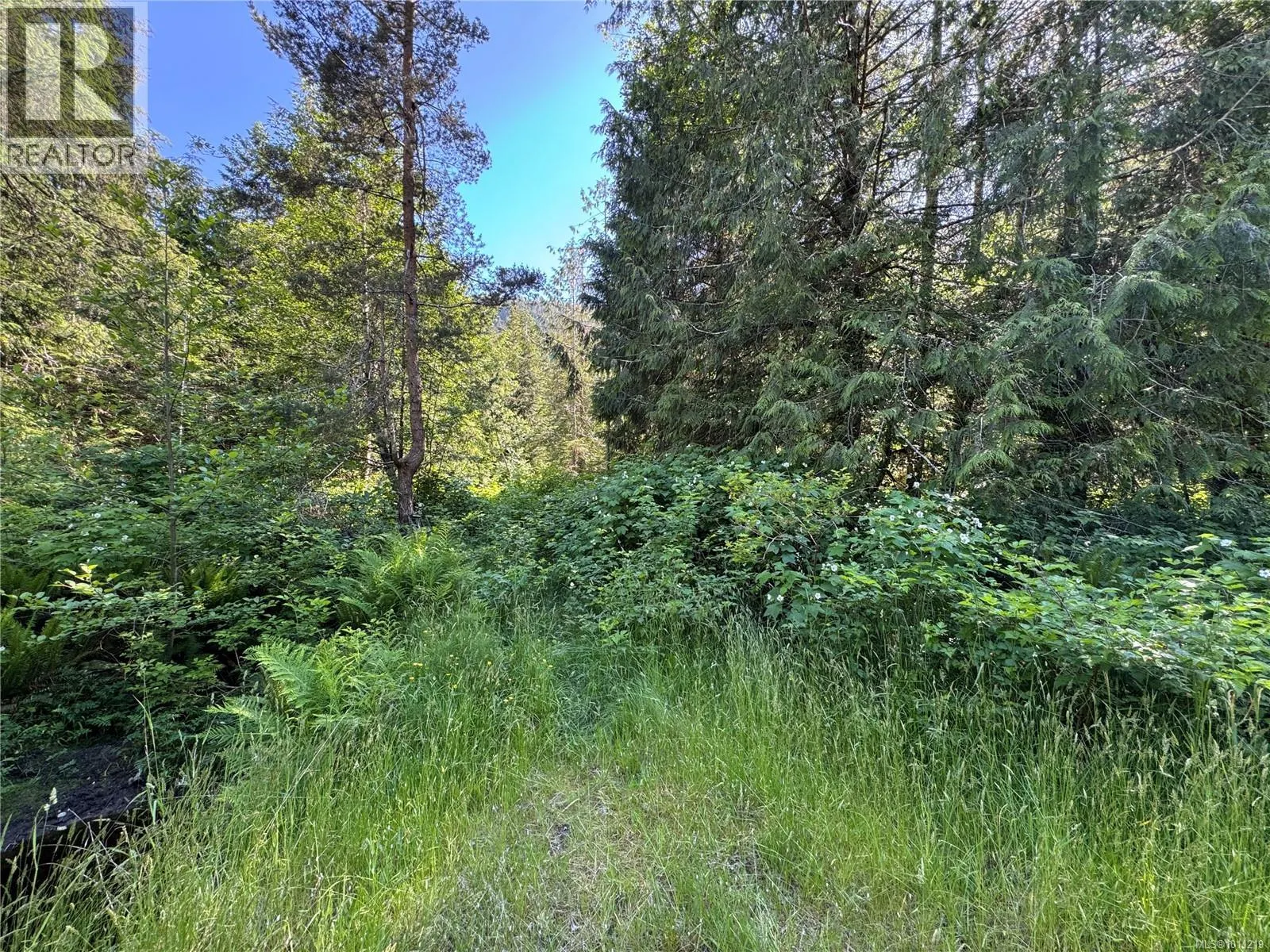 779 Sayward Rd