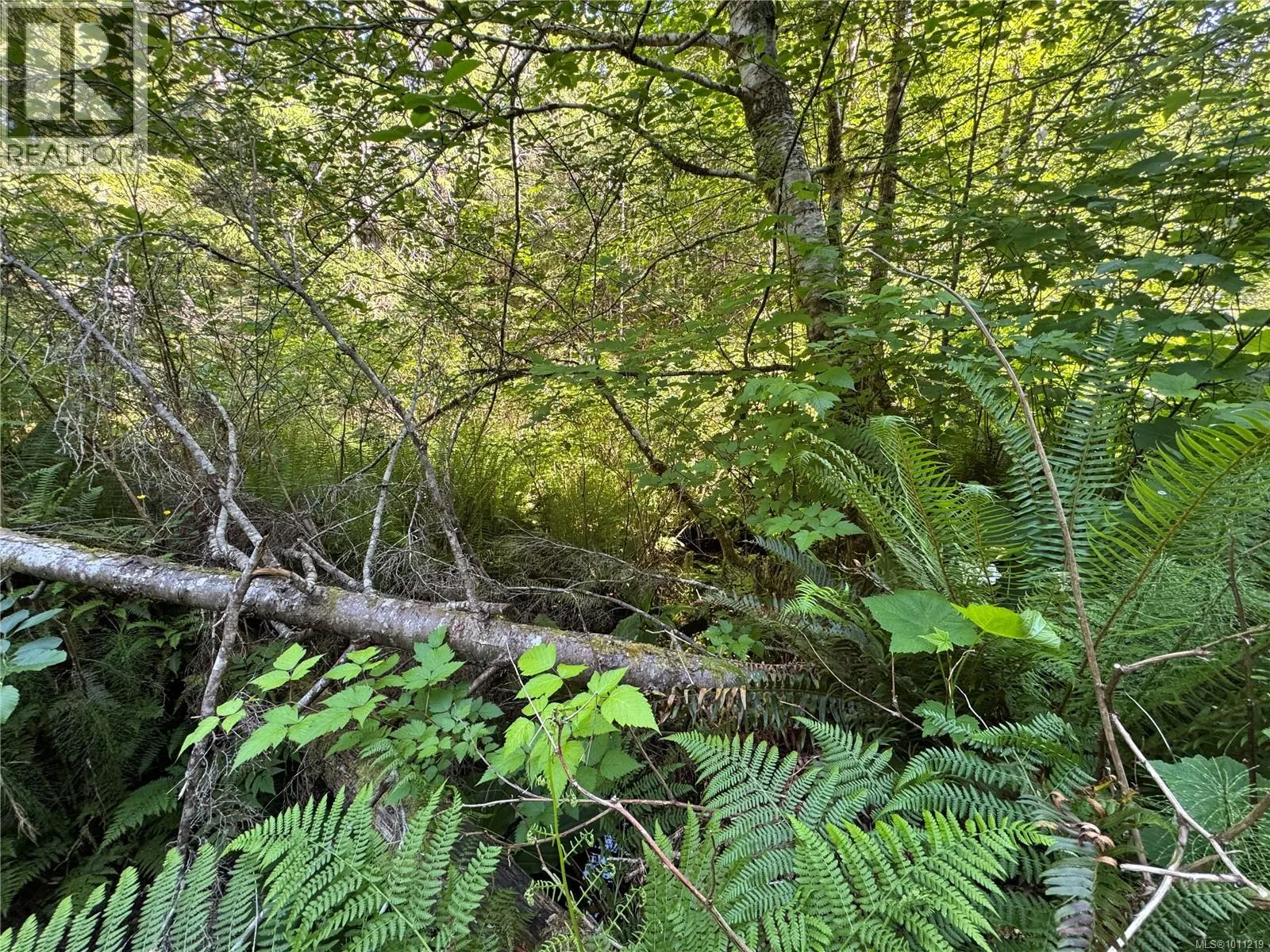 779 Sayward Rd