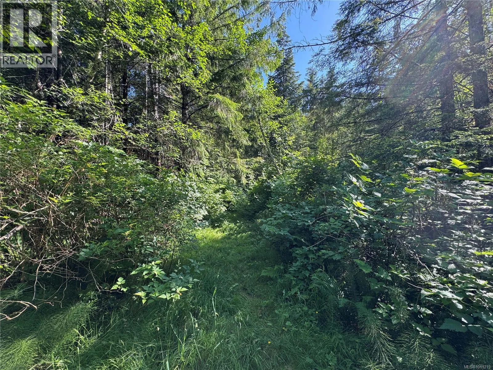 779 Sayward Rd