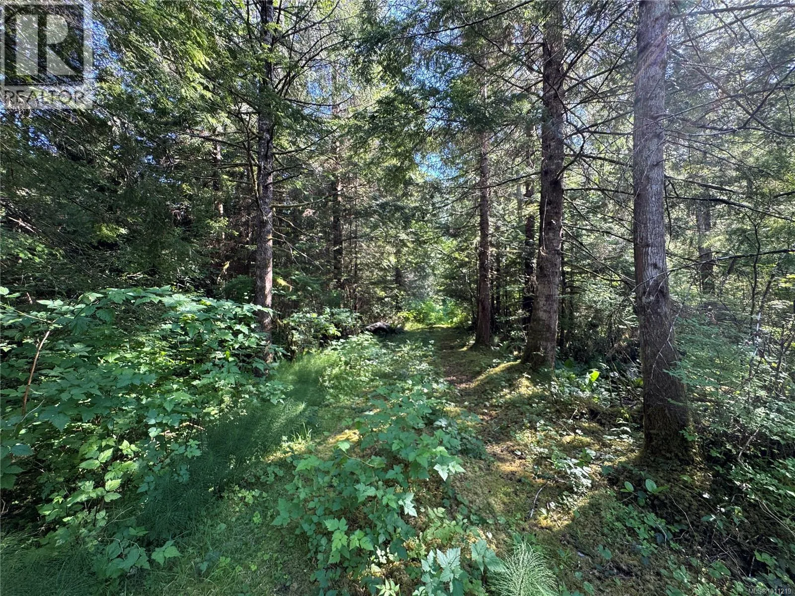 779 Sayward Rd