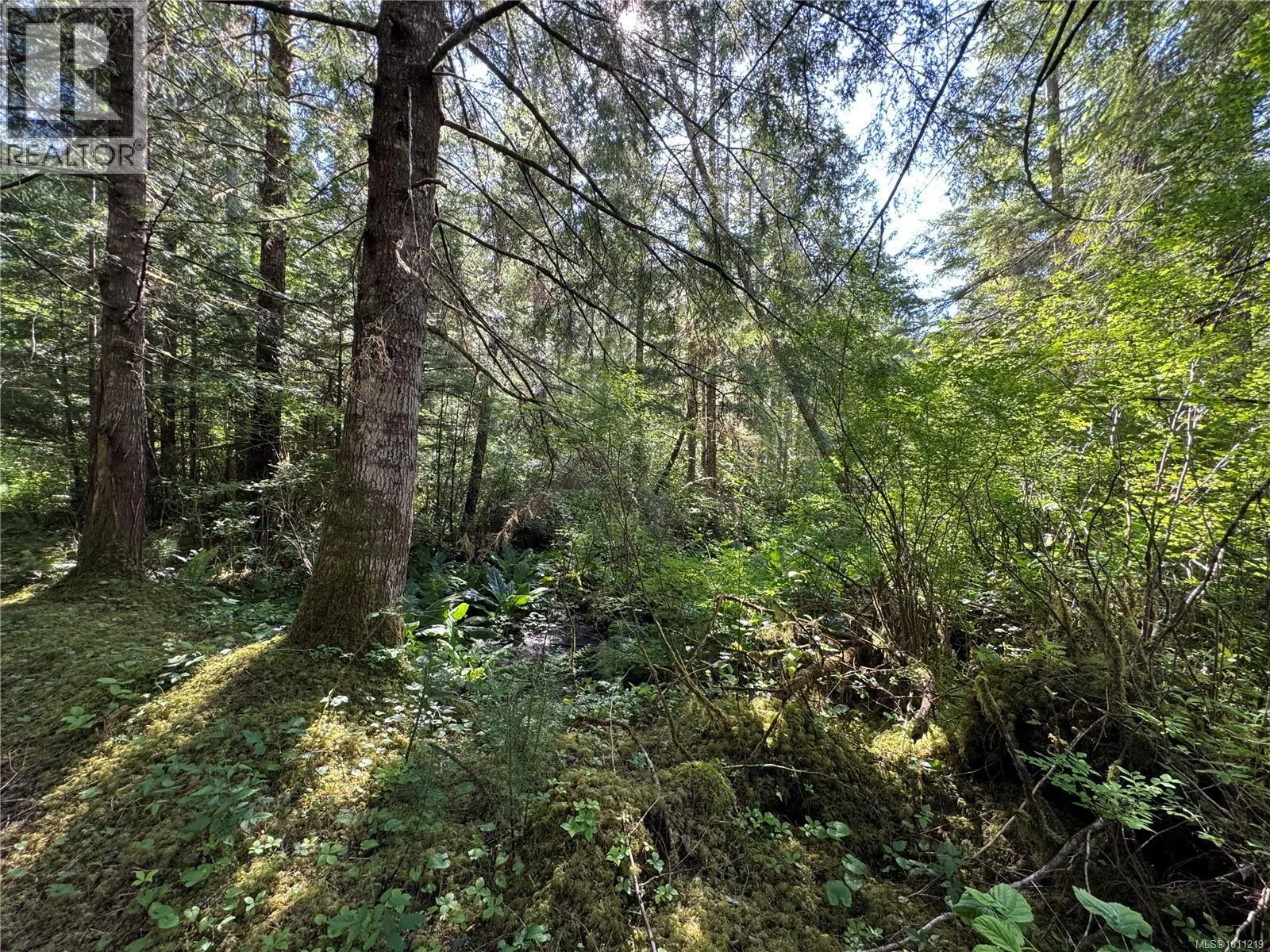779 Sayward Rd