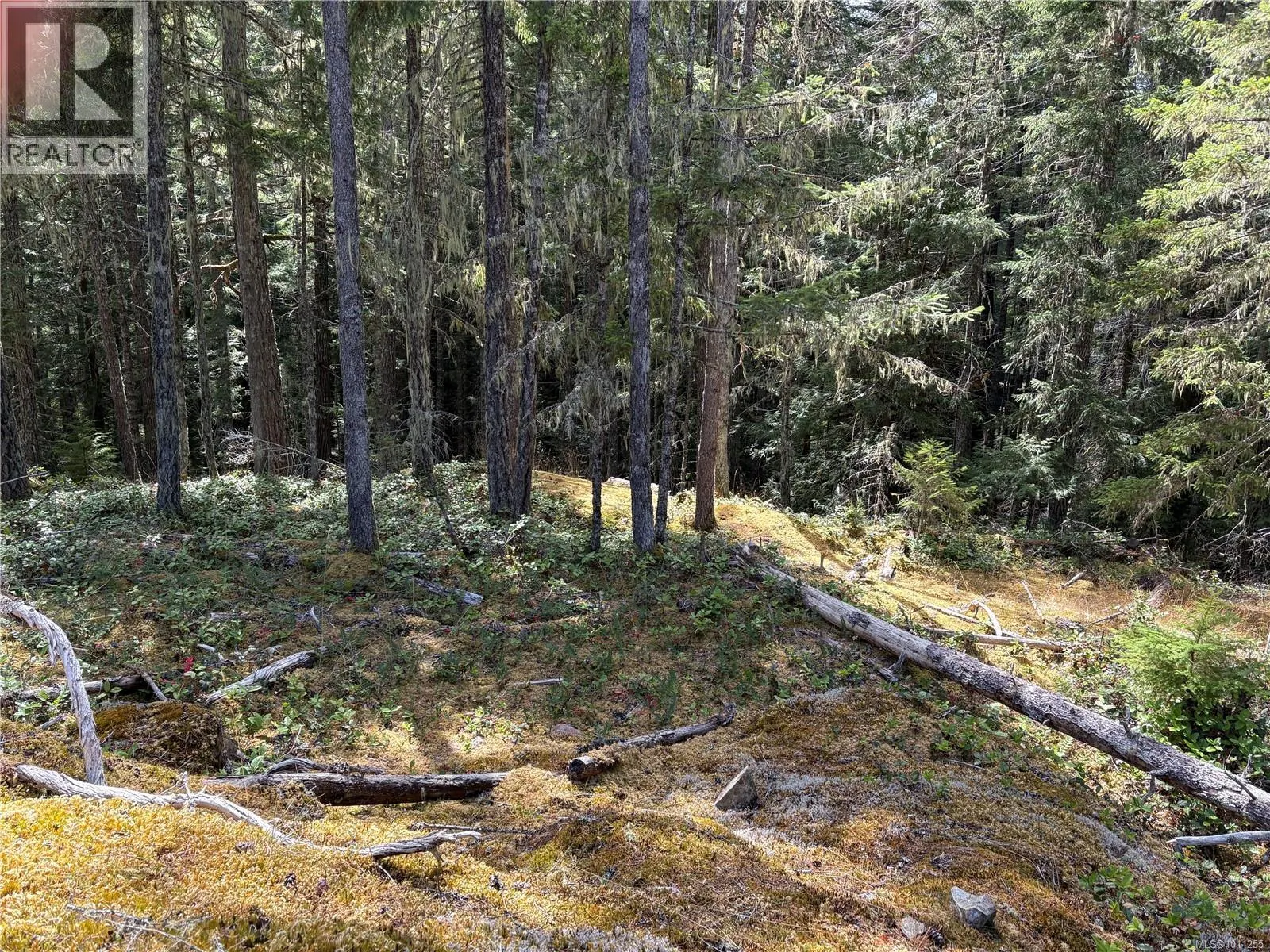 SL9 Trailhead Lane