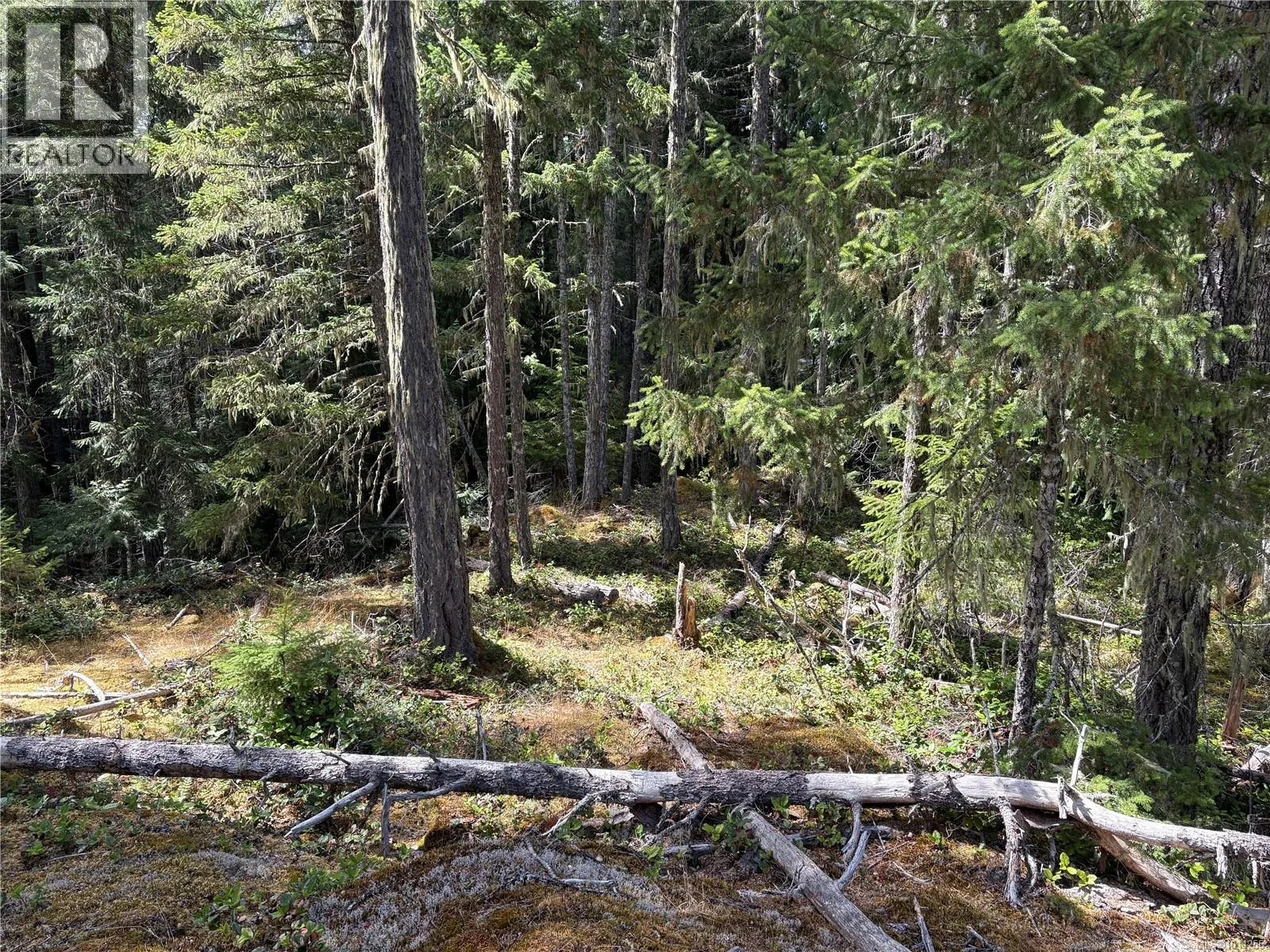 SL9 Trailhead Lane