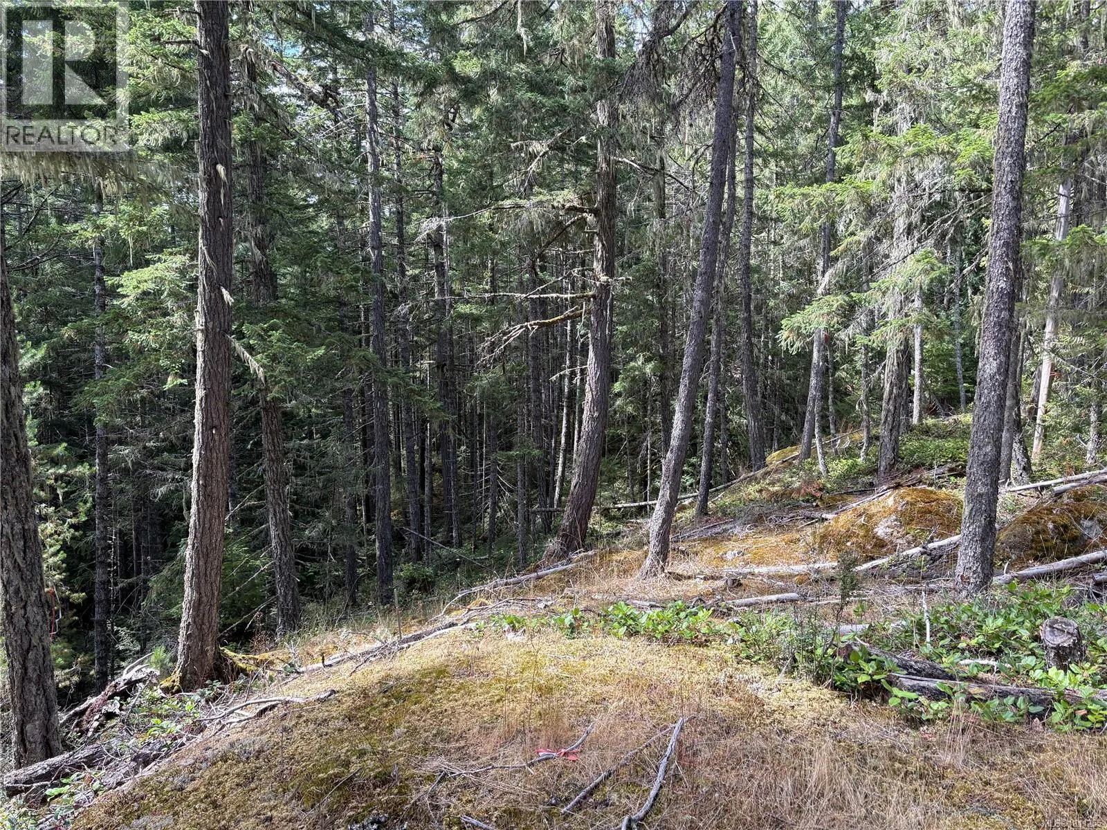 SL9 Trailhead Lane