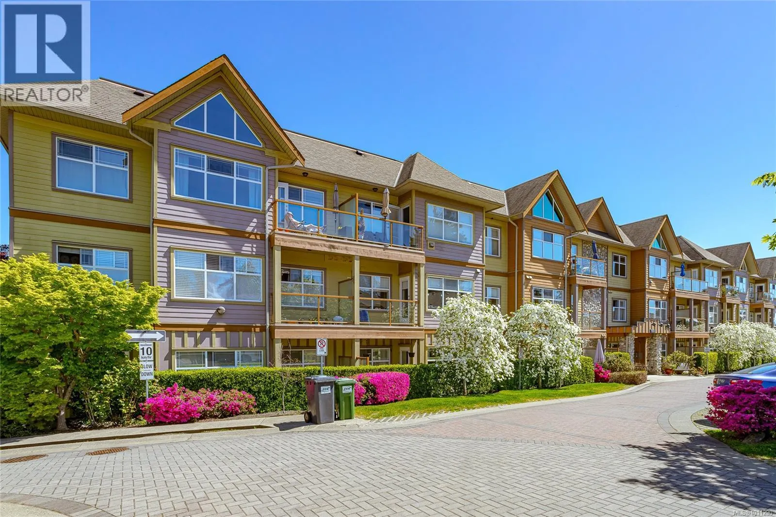 210 1959 Polo Park Crt