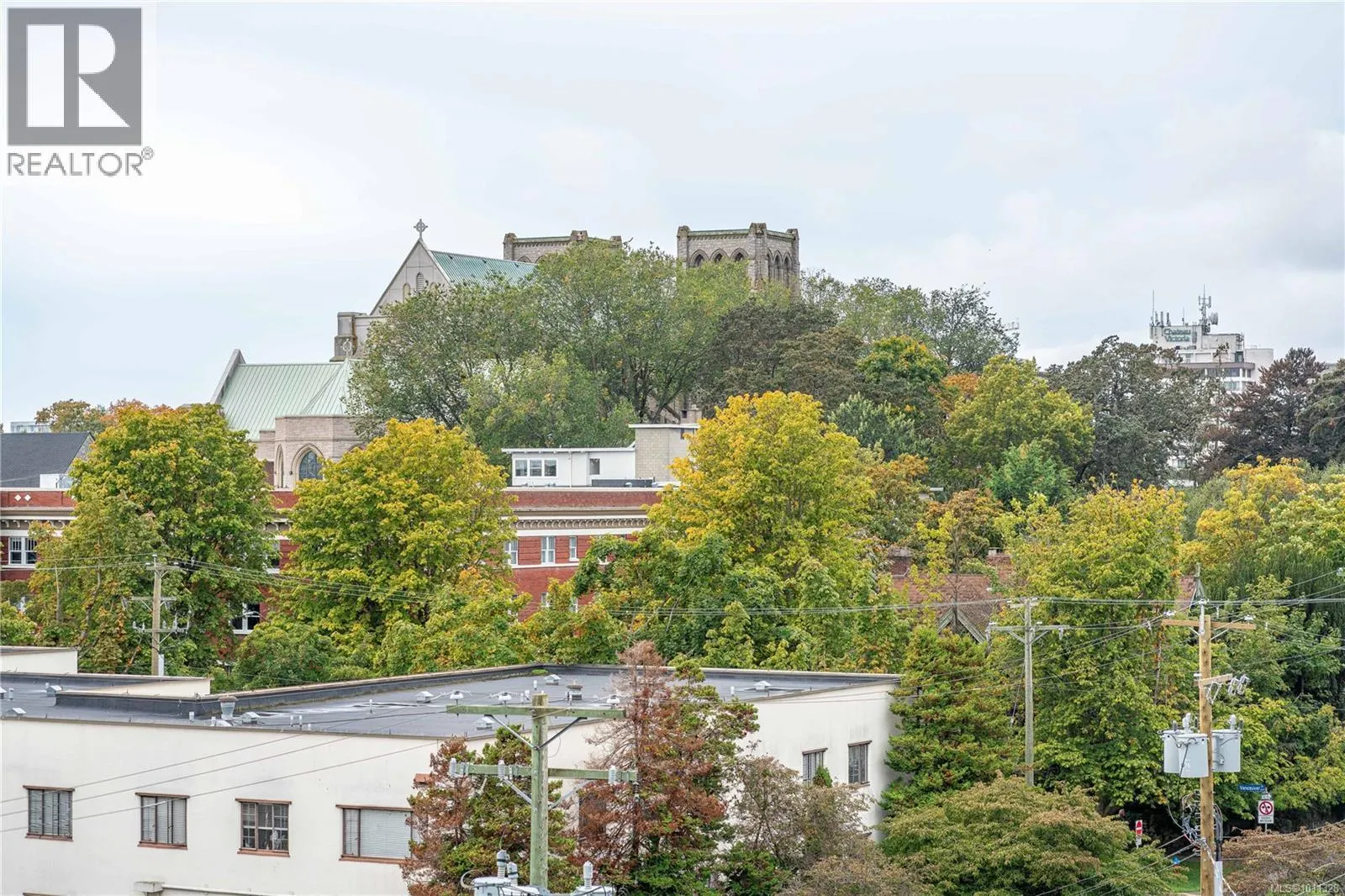 512 1061 Fort St