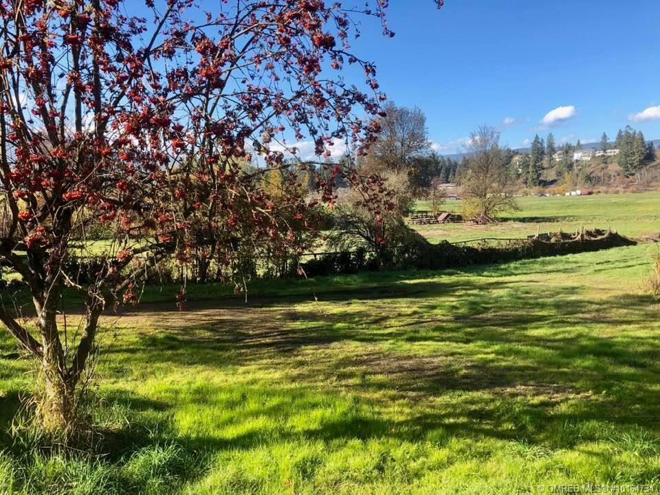 Listing 10164734 - Large Photo # 7