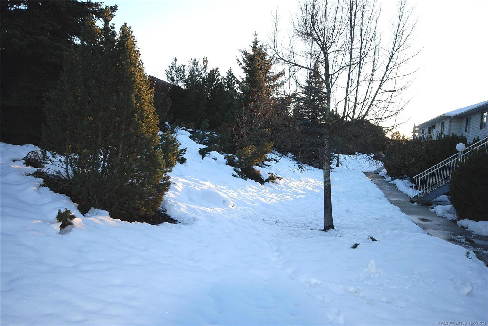 Listing 10221274 - Large Photo # 24