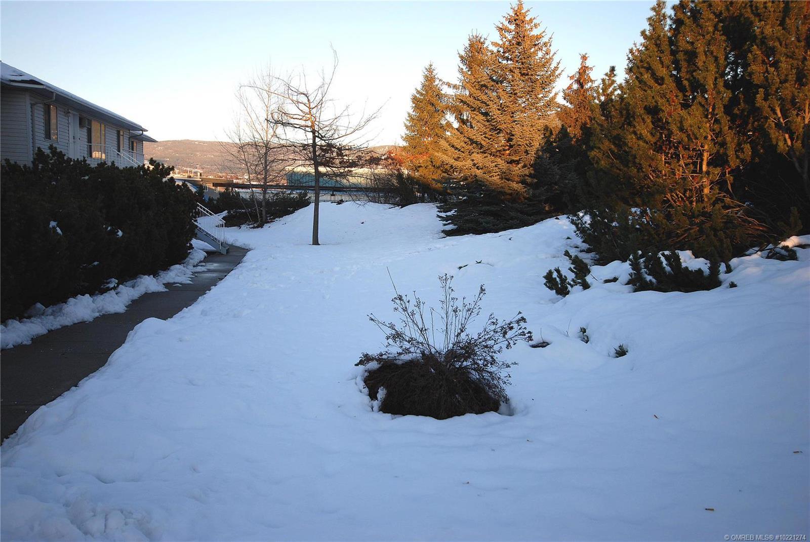 Listing 10221274 - Large Photo # 23