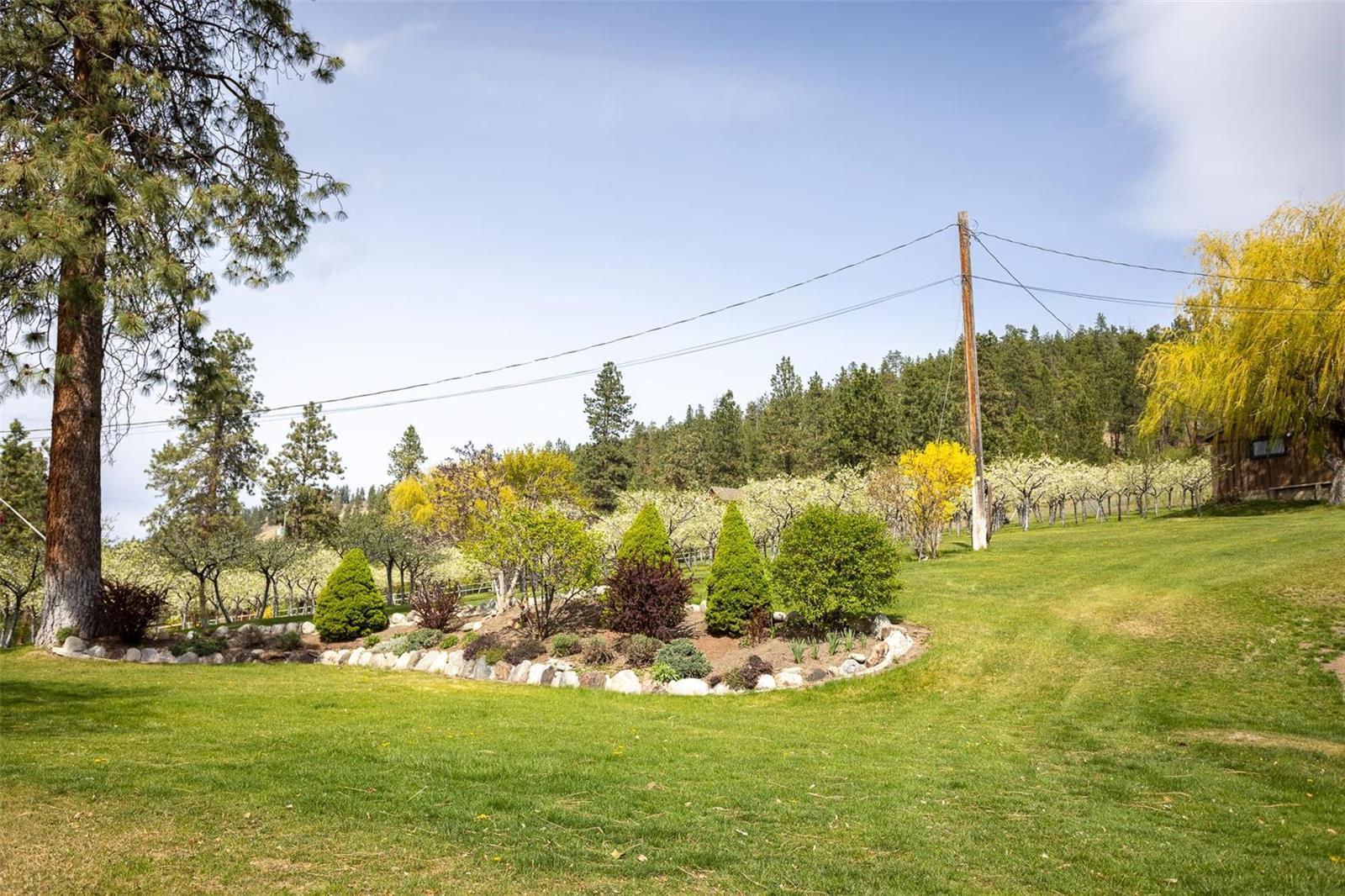 Listing 10223495 - Large Photo # 40