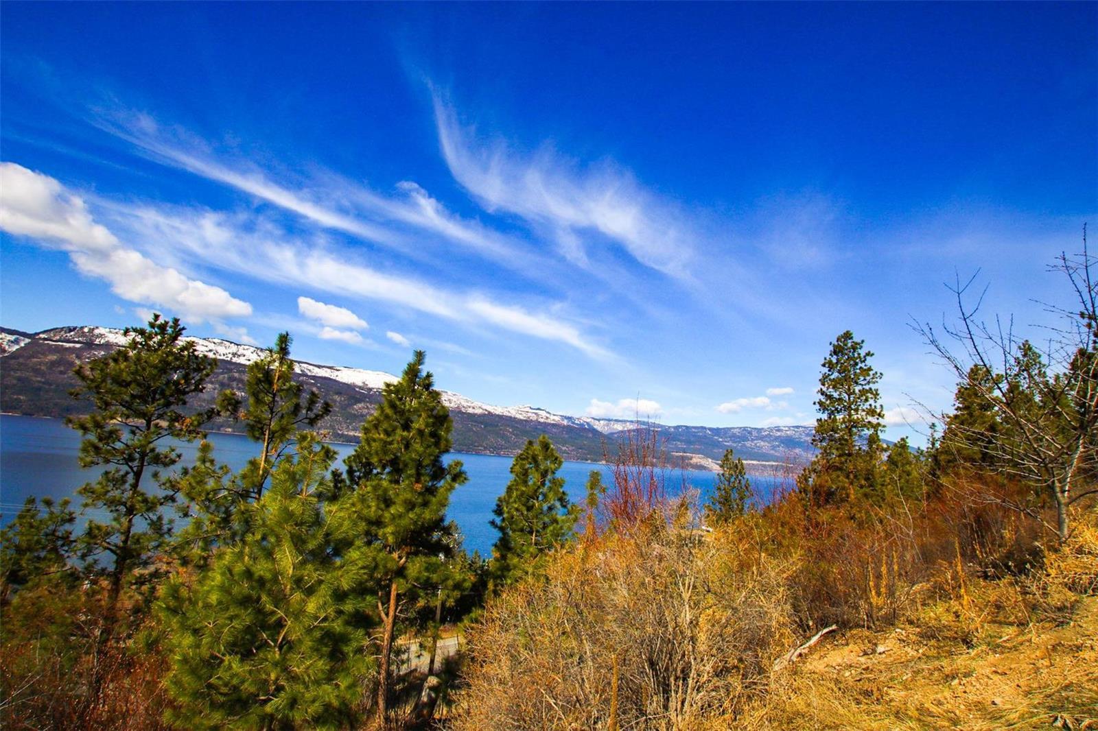 Listing 10228492 - Large Photo # 5
