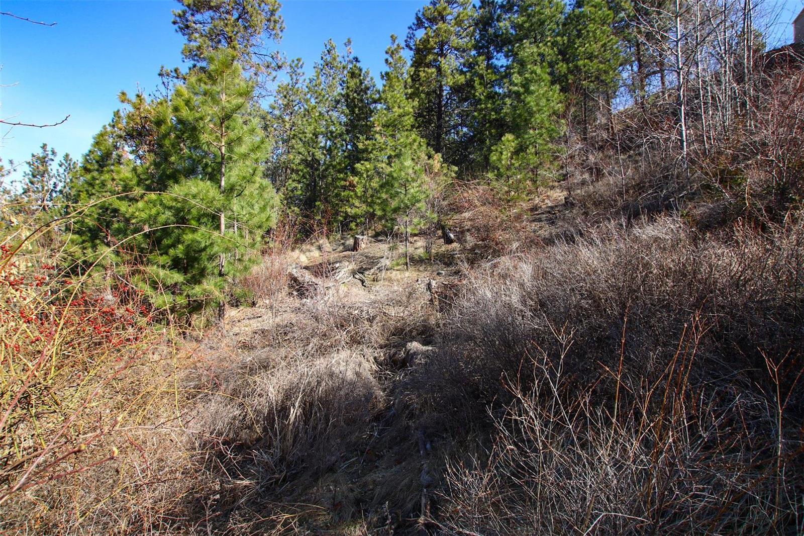 Listing 10228492 - Large Photo # 6