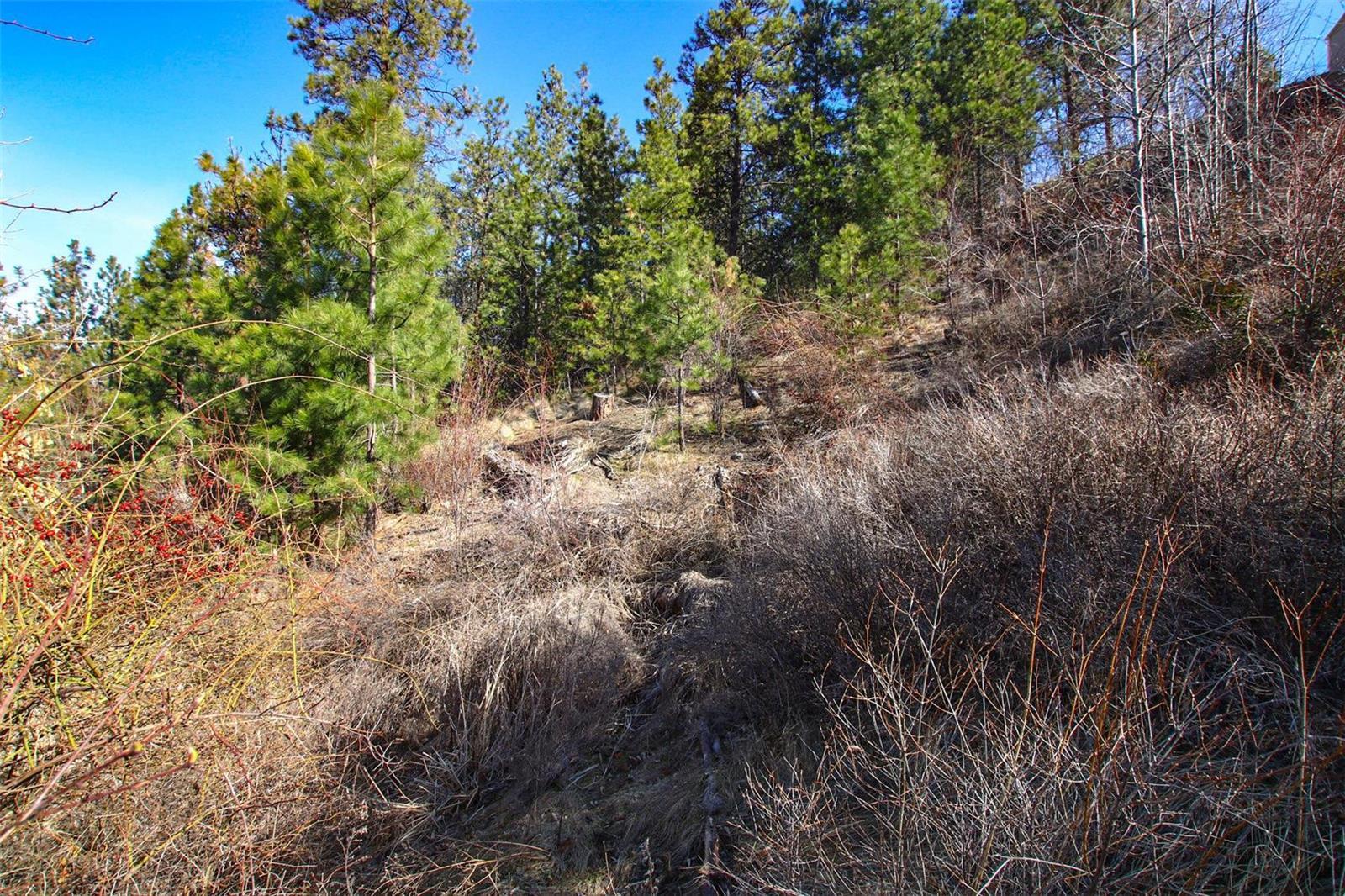 Listing 10228492 - Large Photo # 4