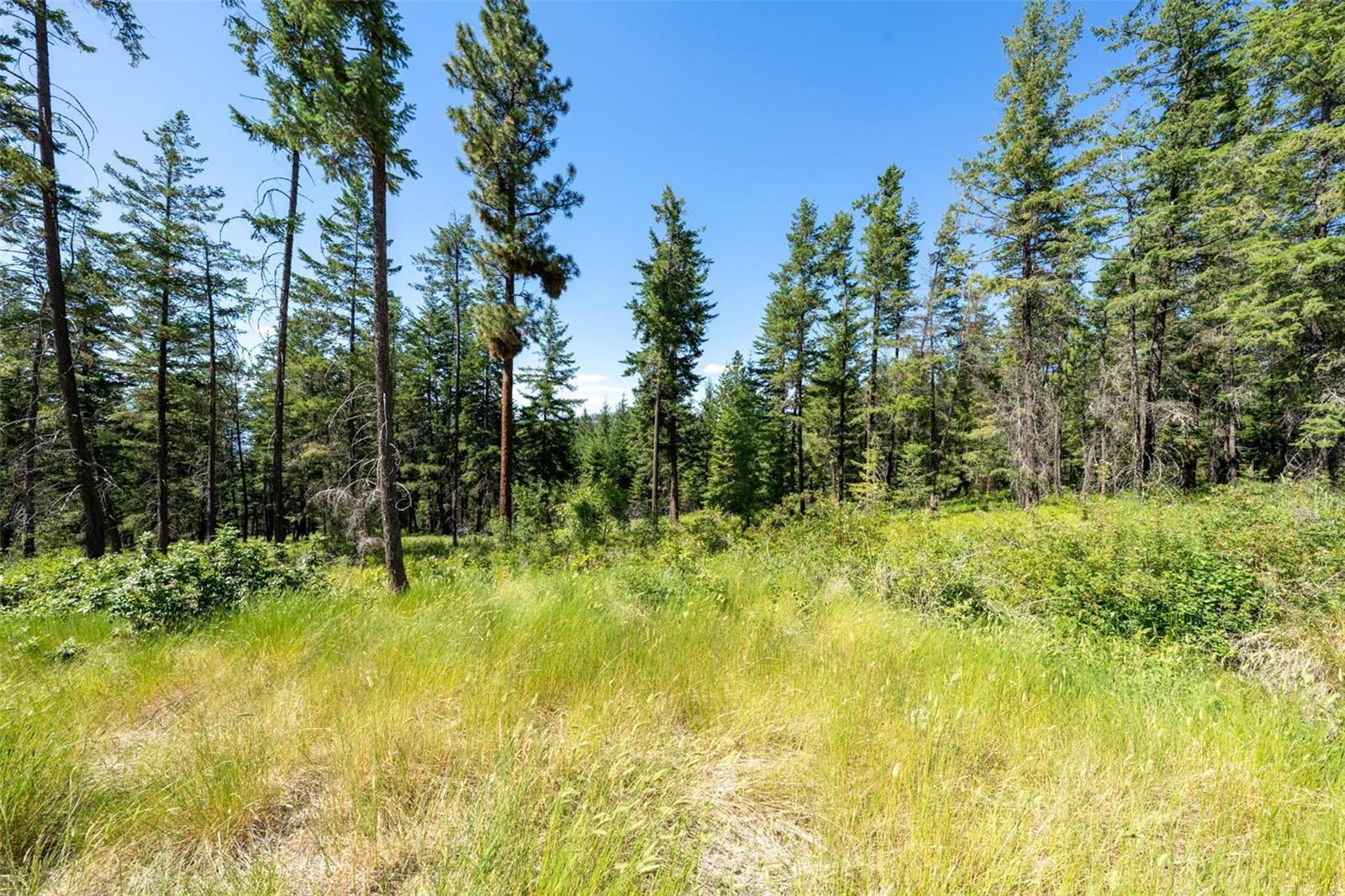 Listing 10235488 - Large Photo # 17