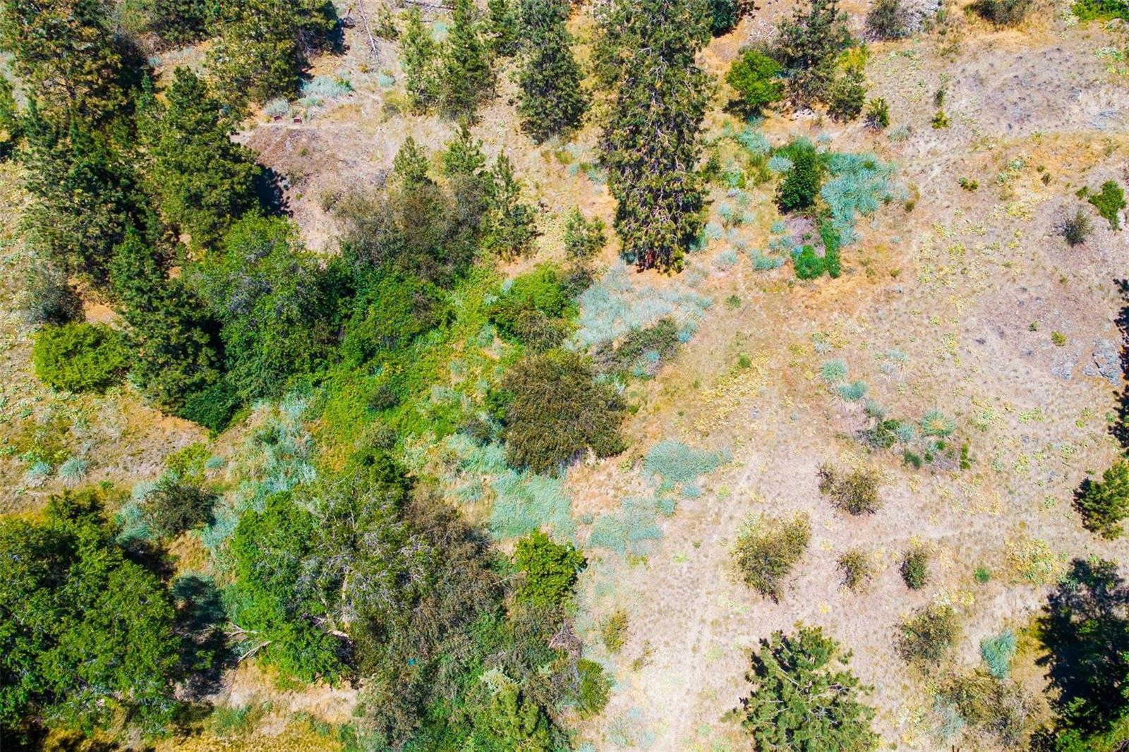 Listing 10236311 - Large Photo # 48