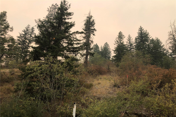 66 Twin Lakes Road,, Enderby
