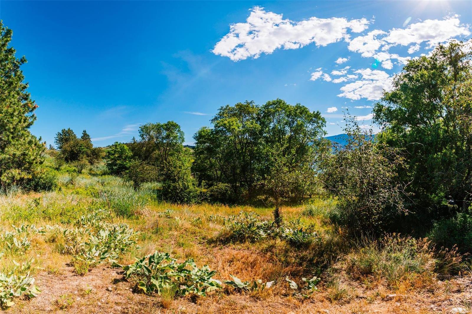 Listing 10238768 - Large Photo # 3