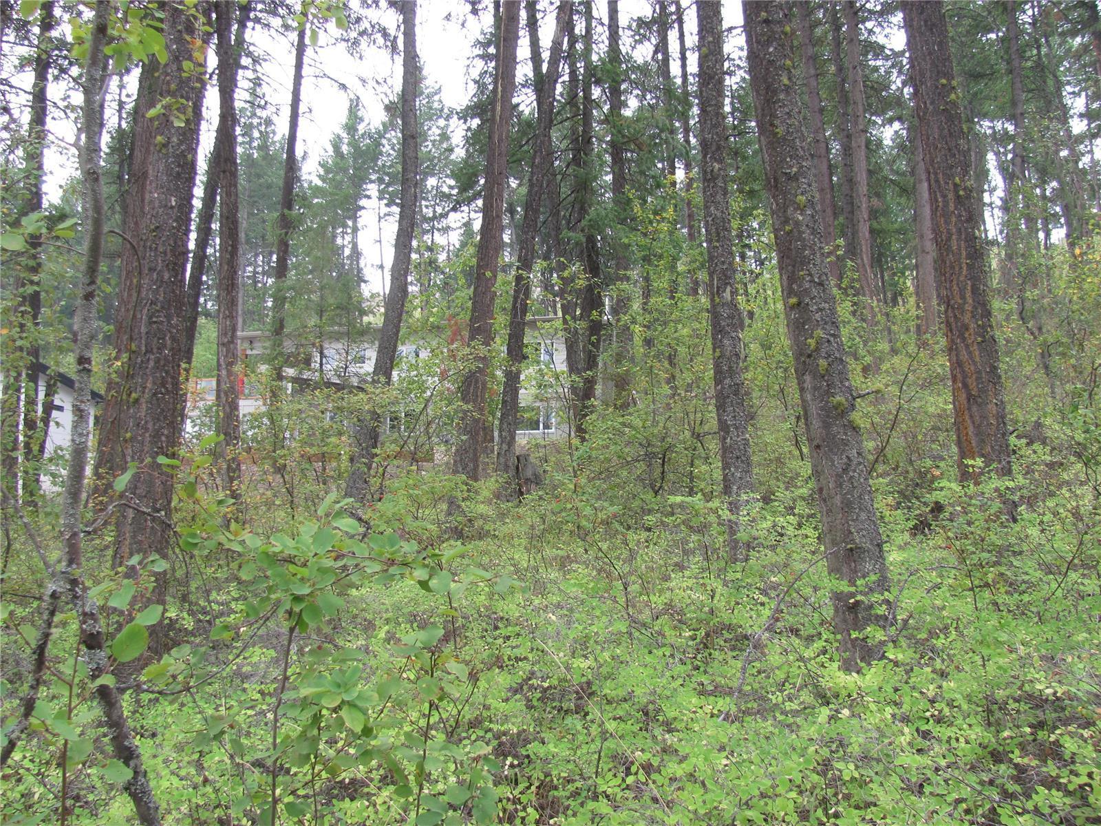 Listing 10240275 - Large Photo # 3
