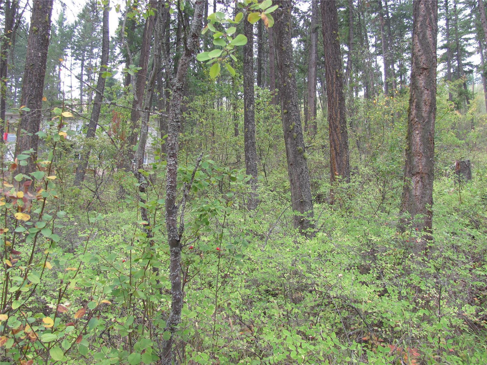 Listing 10240275 - Large Photo # 7