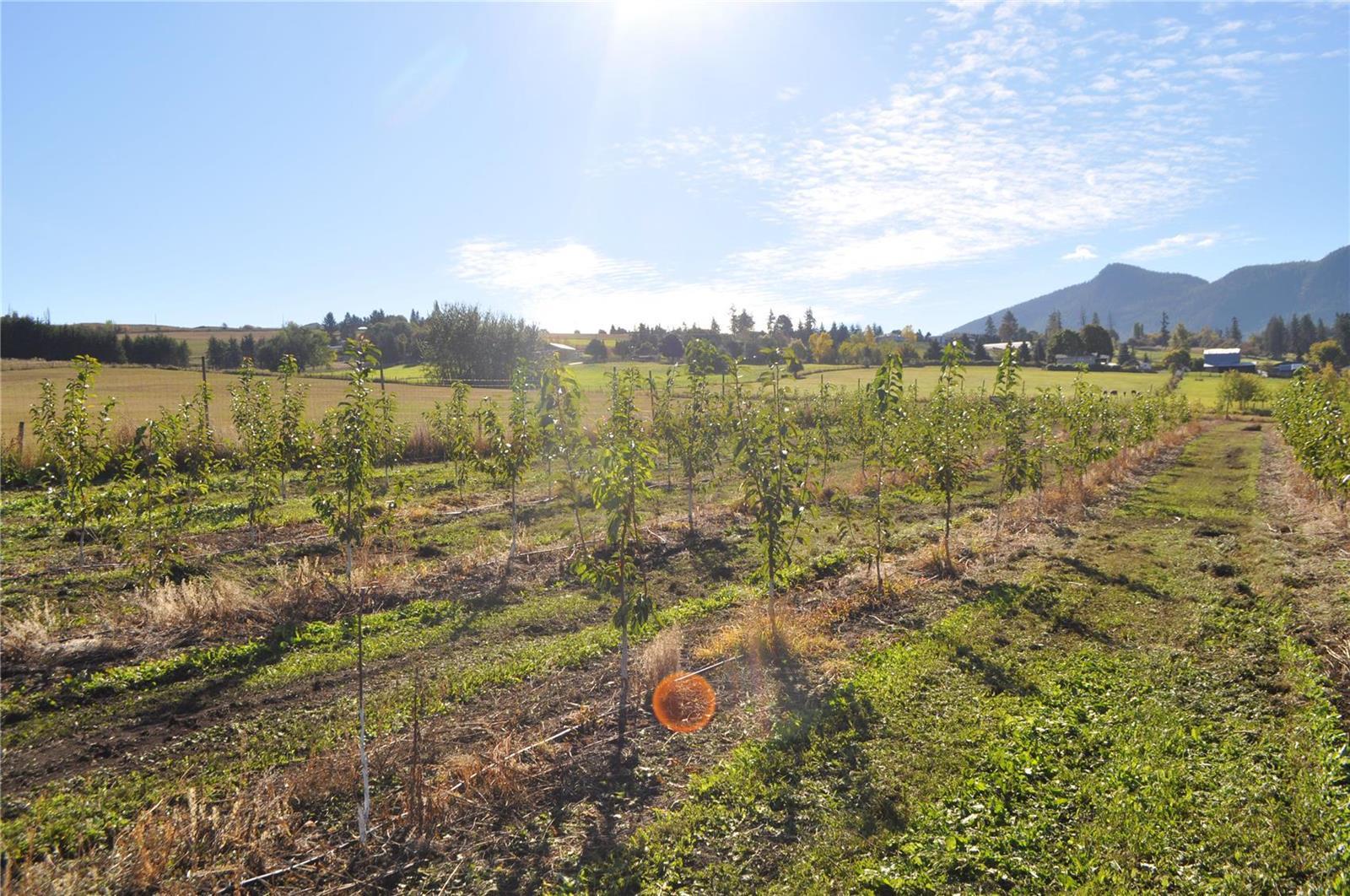 Listing 10241122 - Large Photo # 14
